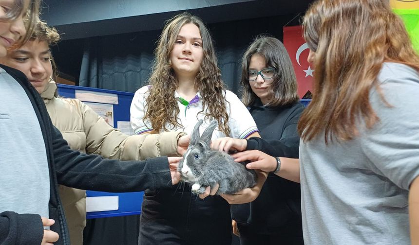 ‘Dünya Hayvanları Koruma Günü farklı etkinliklerle kutlandı