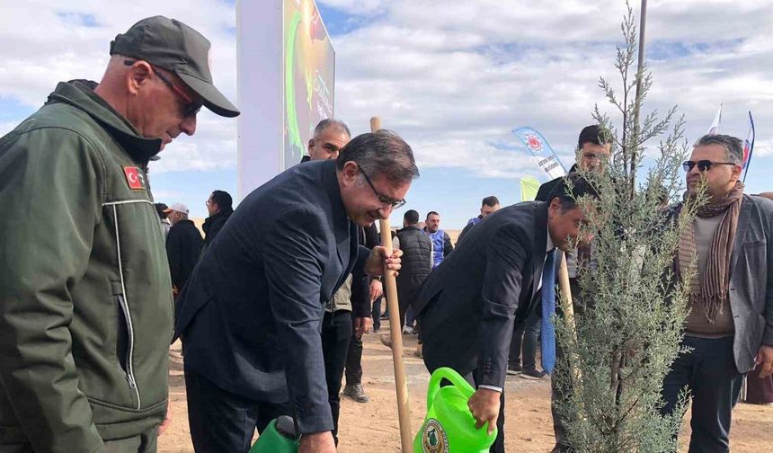 11 Kasım Milli Ağaçlandırma Günü’nde 20 bin fidan dikildi