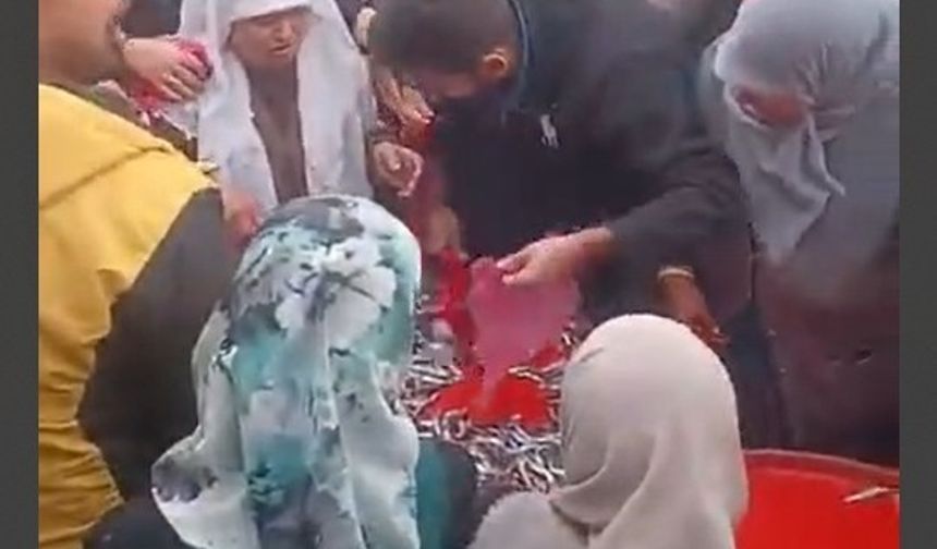 Ücretsiz hamsi dağıtımı yoğun ilgi gördü