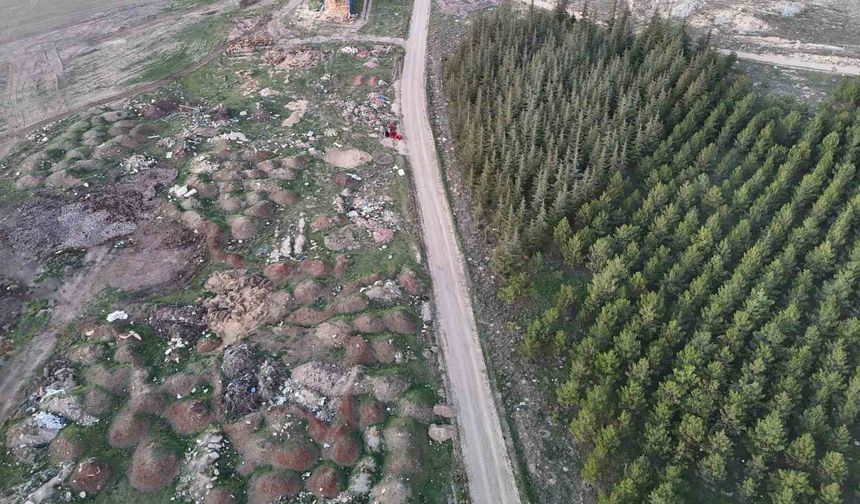 Eskişehir'de tezat görüntü: Bir yanda yeşil ağaçlar, bir yanda çöp yığınları