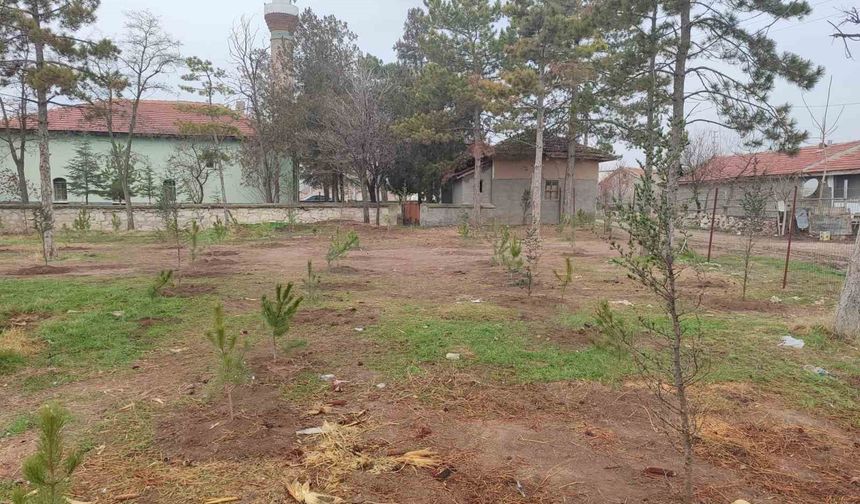 Umraniye köylüleri 300 adet fidanı okul ve camii bahçesine diktiler