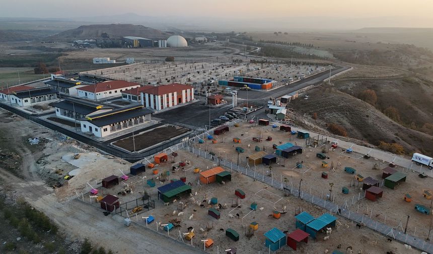 Doğal yaşam alanının  2. etabı tamamladı