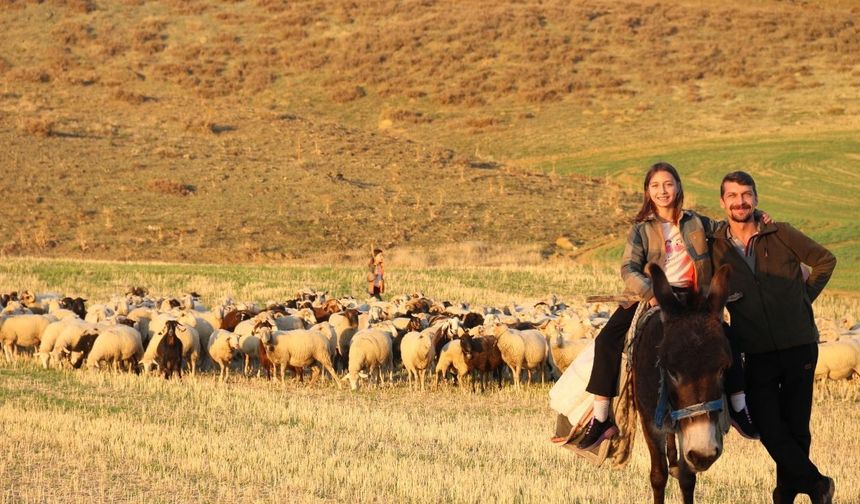 Küçük kız baba mesleği çobanlığı devam ettiriyor