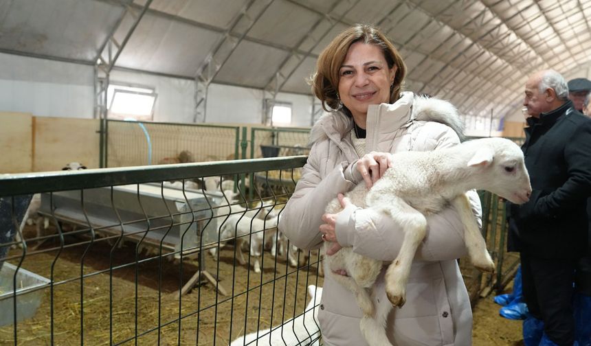 Mineral blok ve fondan arı yemi dağıtımı başlıyor