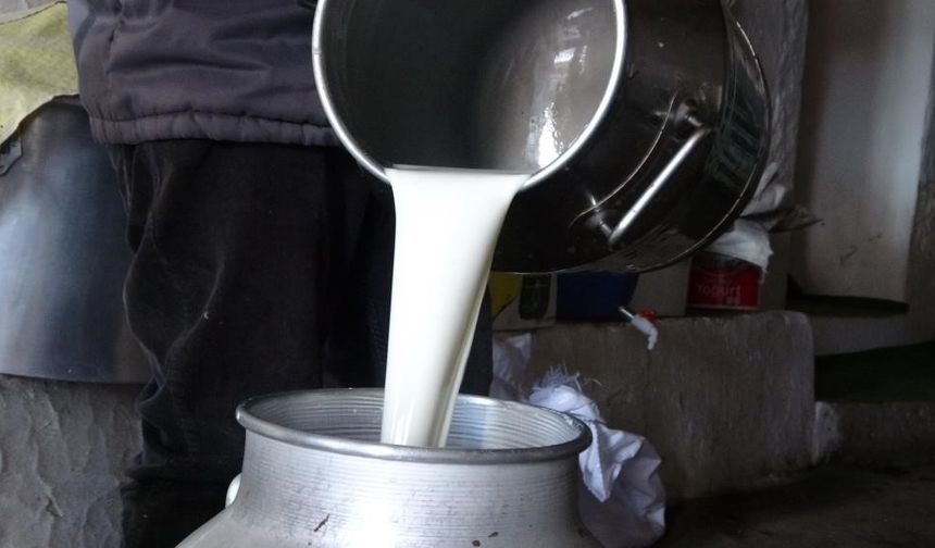 Çiğ süt fiyatları belli