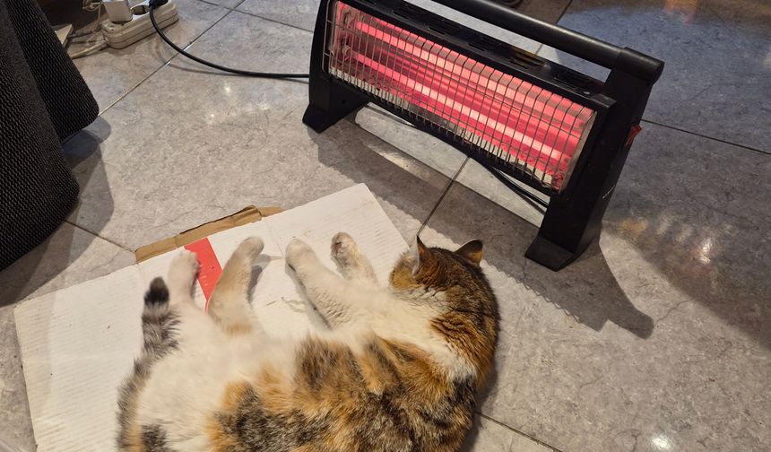 Eskişehir ayazında iç ısıtan görüntü