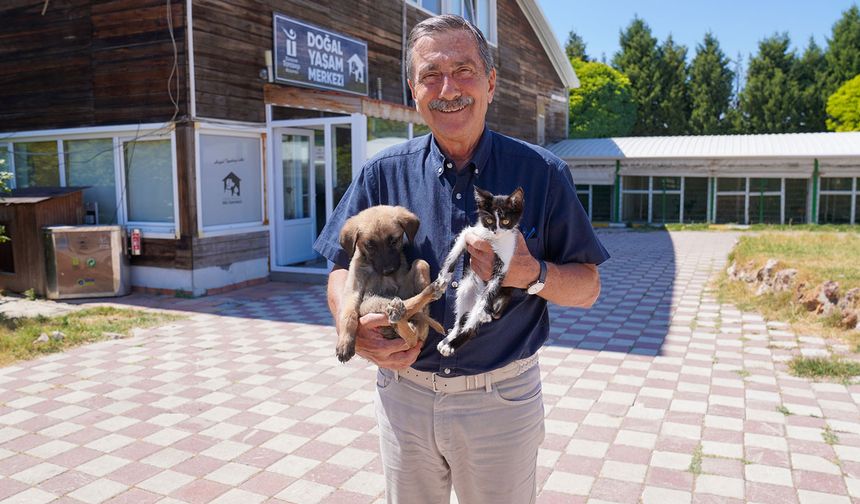 Rakamlar sadece istatistik değil; bir can, bir umuttur