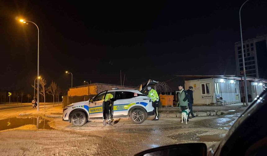 Alkollü yakalanan sürücü, karakola köpeğiyle gitti