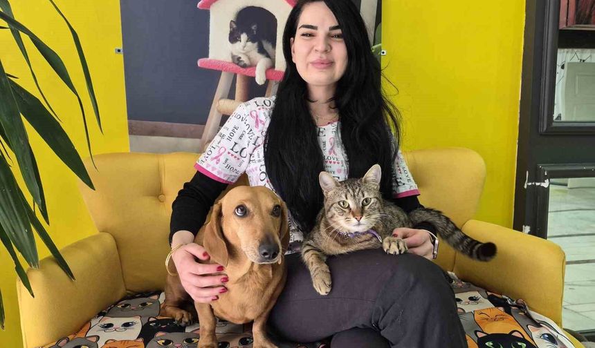 Eskişehir'de kedi ve köpek arasındaki ilginç dostluk