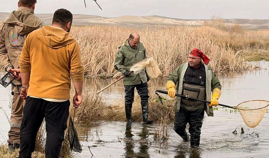 Balıkdamı’nda Doğa Temelli Çözüm Seferberliği