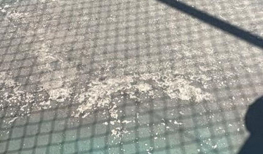 Bilecik'te spor kompleksinin hali işler acısı