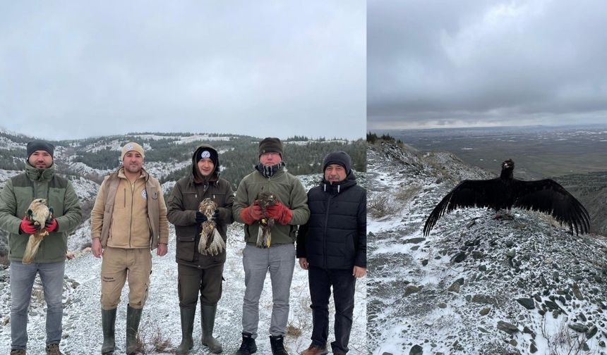 Hayvanat Bahçesi’nden Yaban Hayatına Umut