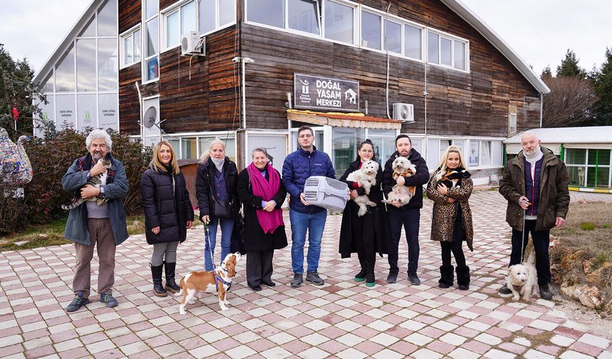 Tepebaşı patili canlara yuva oluyor, yuva buluyor