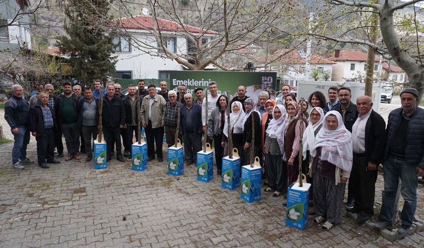 Sarıcakaya’da 600 dut fidanı üreticiyle buluştu
