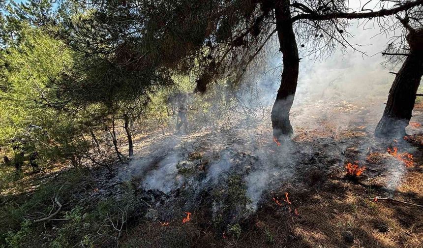 Bilecik'te ormanlık alanda yangın çıktı