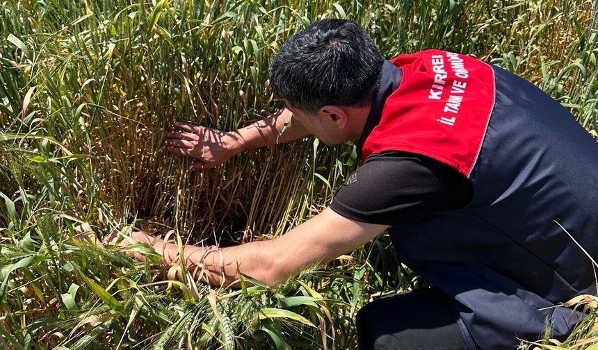 Bilinçsiz ilaç kullanmak hem çevreye hem de ekonomiye zarar verir