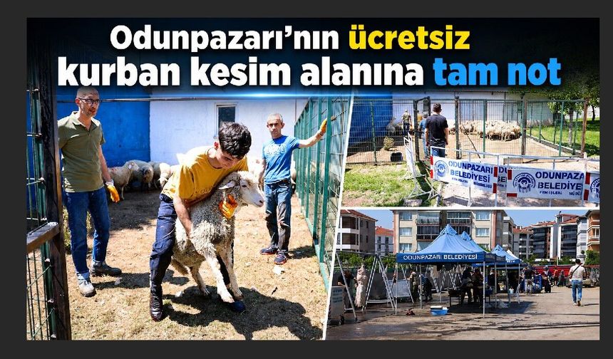 Ekonomik kriz kurban sayılarını yarıya düşürdü
