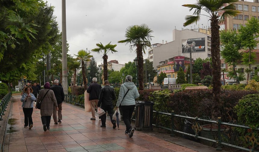 Köprübaşı palmiyelerle süslendi