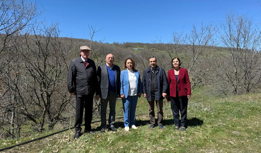 Bilirkişi raporunu verdi “Proje iptal edilmeli!”