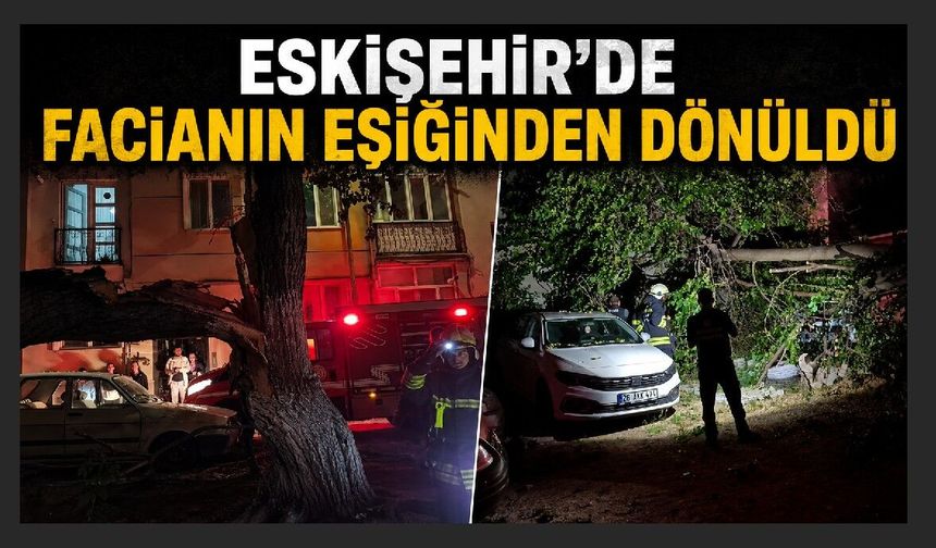 Dut ağacı park halindeki araçların üzerine devrildi