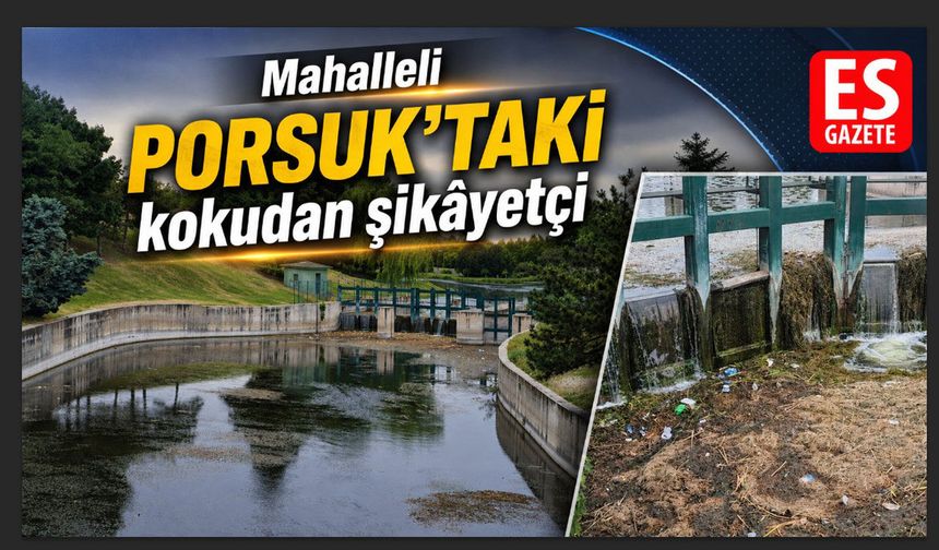 Porsuk’ta yosun ve çöp alarmı