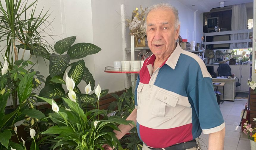 Direkt güneş ışığı çiçekler için zararlı