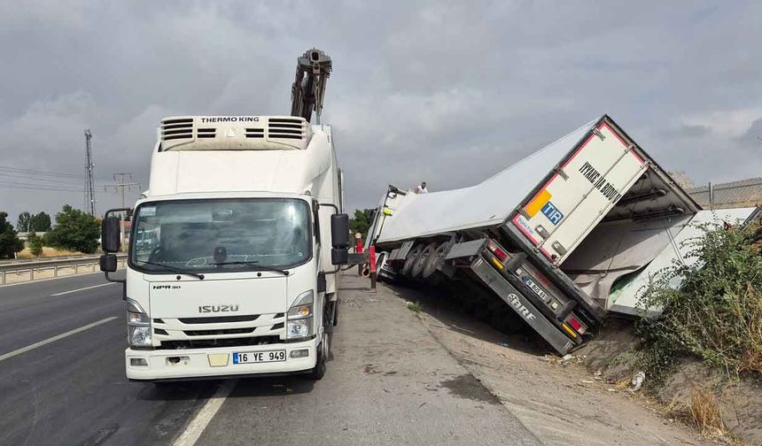 Et yüklü tır şarampole devrildi
