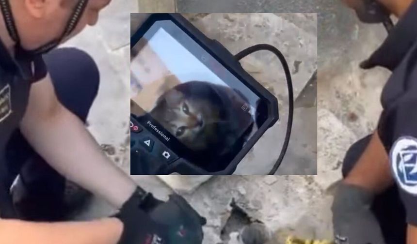 Gider borusundaki kediyi kurtarma operasyonu