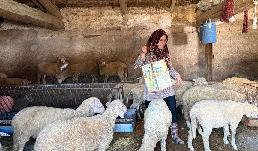 Kocası vahşice öldürülmüştü, şimdi O, çobanlık yaparak çocuklarına bakıyor