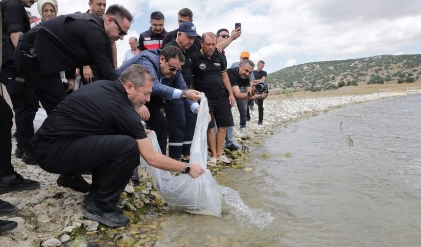 Kütahya'da Porsuk Barajı Göleti'ne 107 bin 500 balık yavrusu bırakıldı
