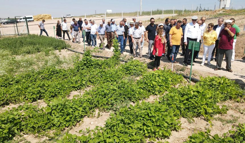 "Tarla Günü"nde 15 farklı çeşit üreticiyle buluşacak
