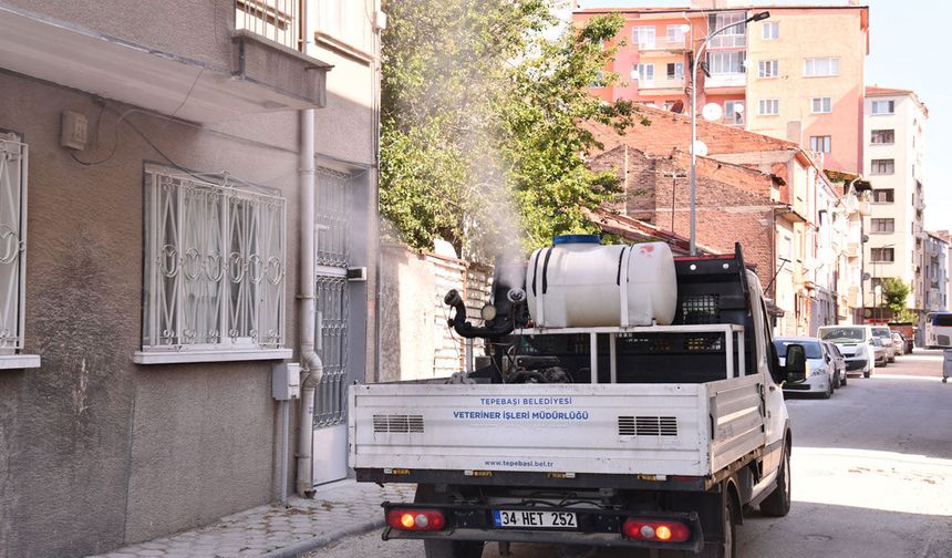 Tepebaşında sineğe sivrisineğe geçit yok