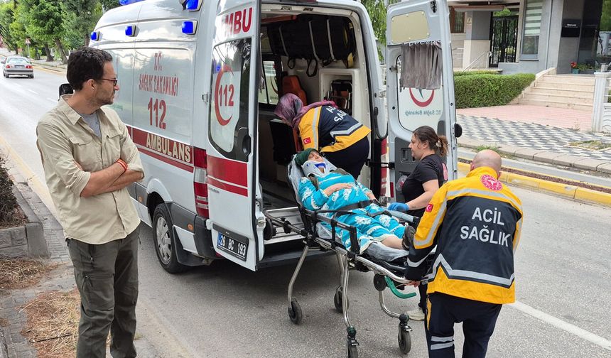 Yaya geçidinde anneanne ve torununa çarptı