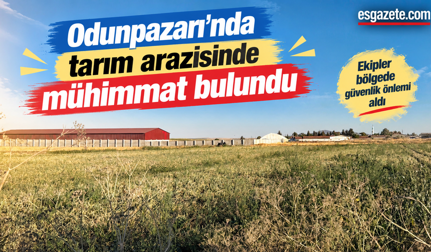 Odunpazarı'nda tarım arazisinde mühimmat bulundu