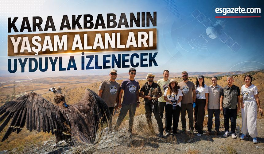 Eskişehir'de kara akbabalar nerede yaşıyor?