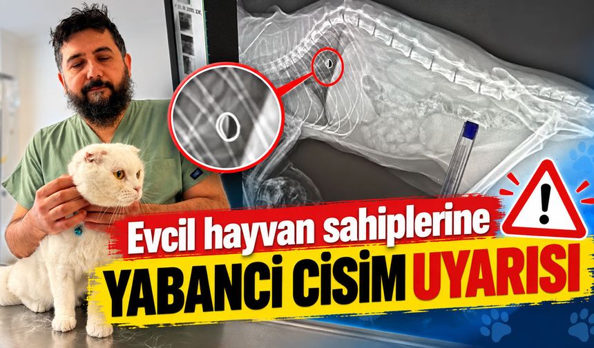 Evcil hayvan sahiplerine yabancı cisim uyarısı