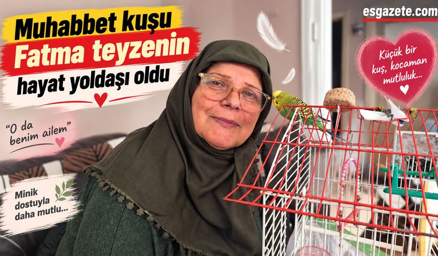 Muhabbet kuşu Fatma teyzenin hayat yoldaşı oldu