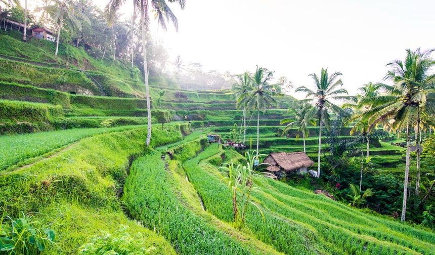 Çiftler Bali Balayında Ubud ve Seminyak'ı Birlikte Seçiyor