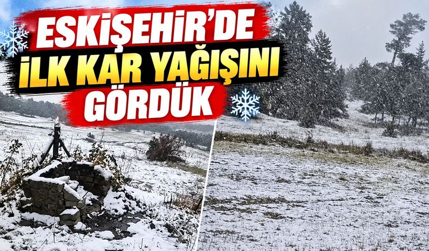 Eskişehir Alpu ilçesinde kar yağışı etkili oldu