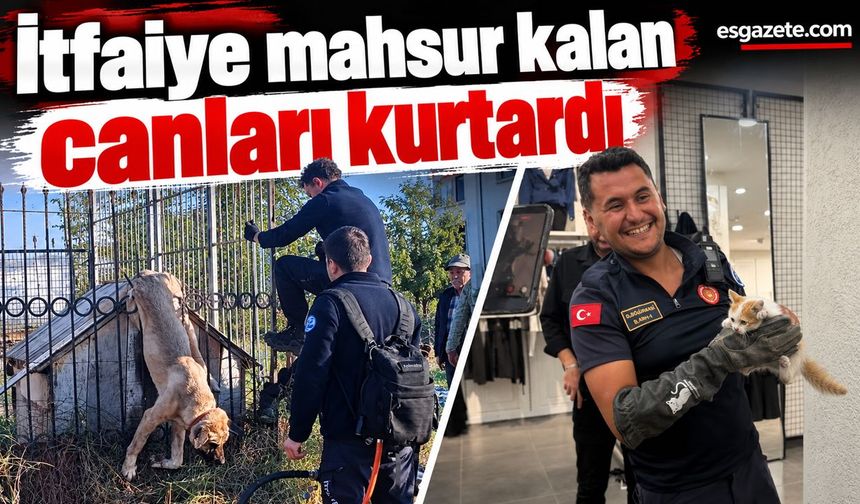 Eskişehir’de İki Can İçin Seferber Oldular