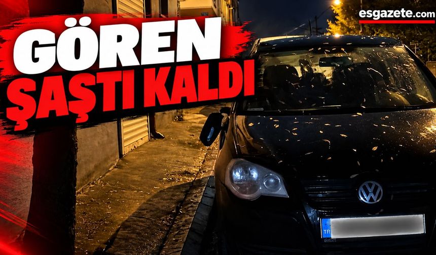 Eskişehir'de magandalar yine iş başında