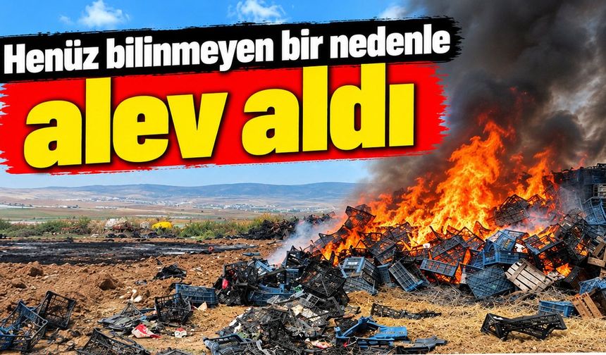 Eskişehir'deki yangında binlerce plastik kasa yandı