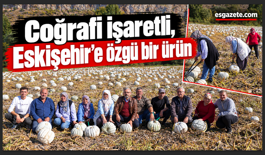 Kızılinler’de balkabağı hasadı yapıldı