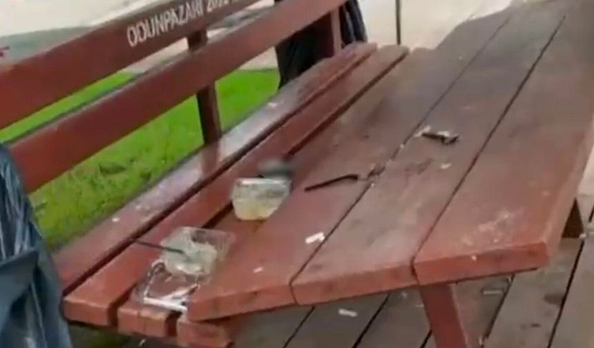 Parktaki vandallığı sosyal medyadan paylaştı