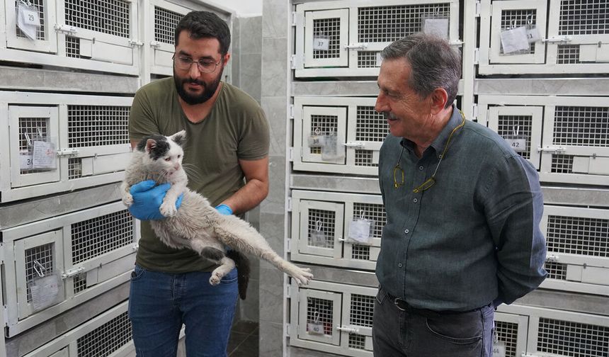 Yaşam hakkı, tüm canlılar için vazgeçilmezdir