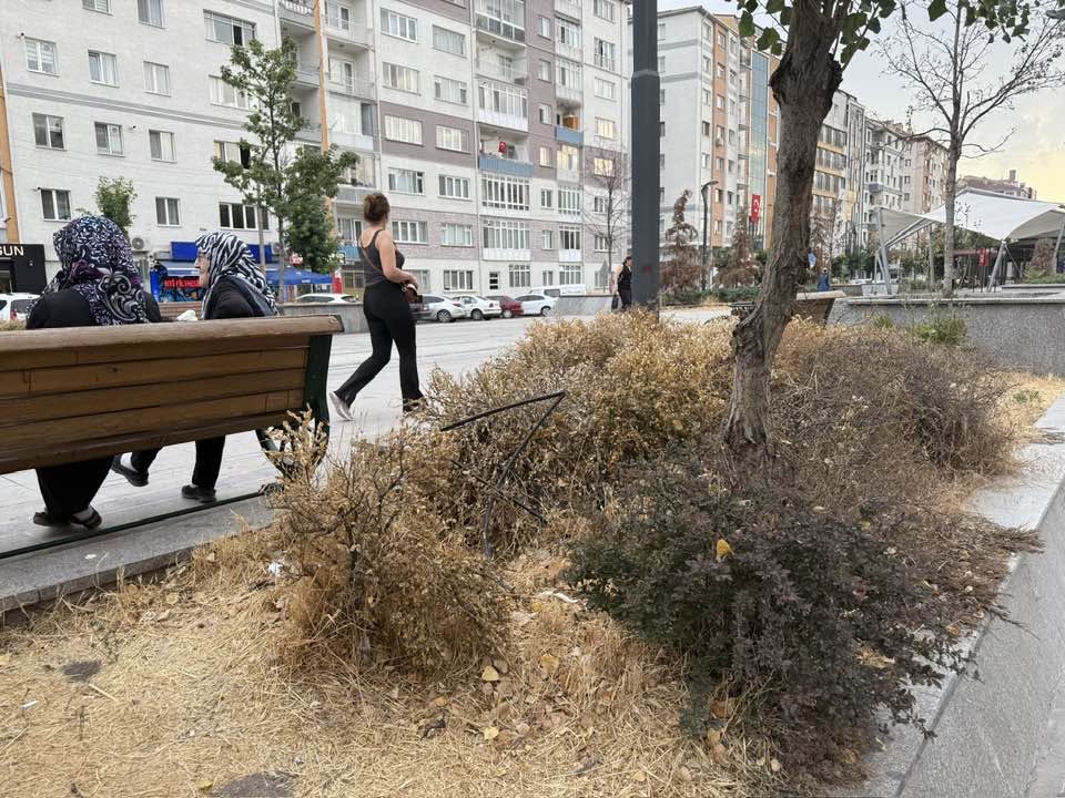 Eskisehirdeki Cevreciler Nerede (1)