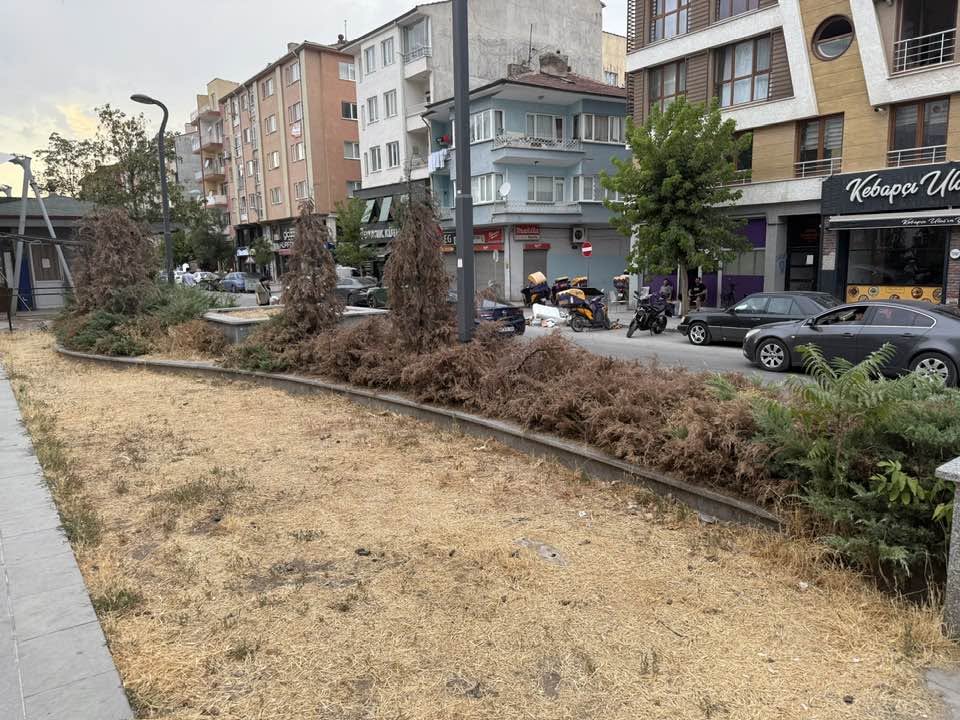 Eskisehirdeki Cevreciler Nerede (4)