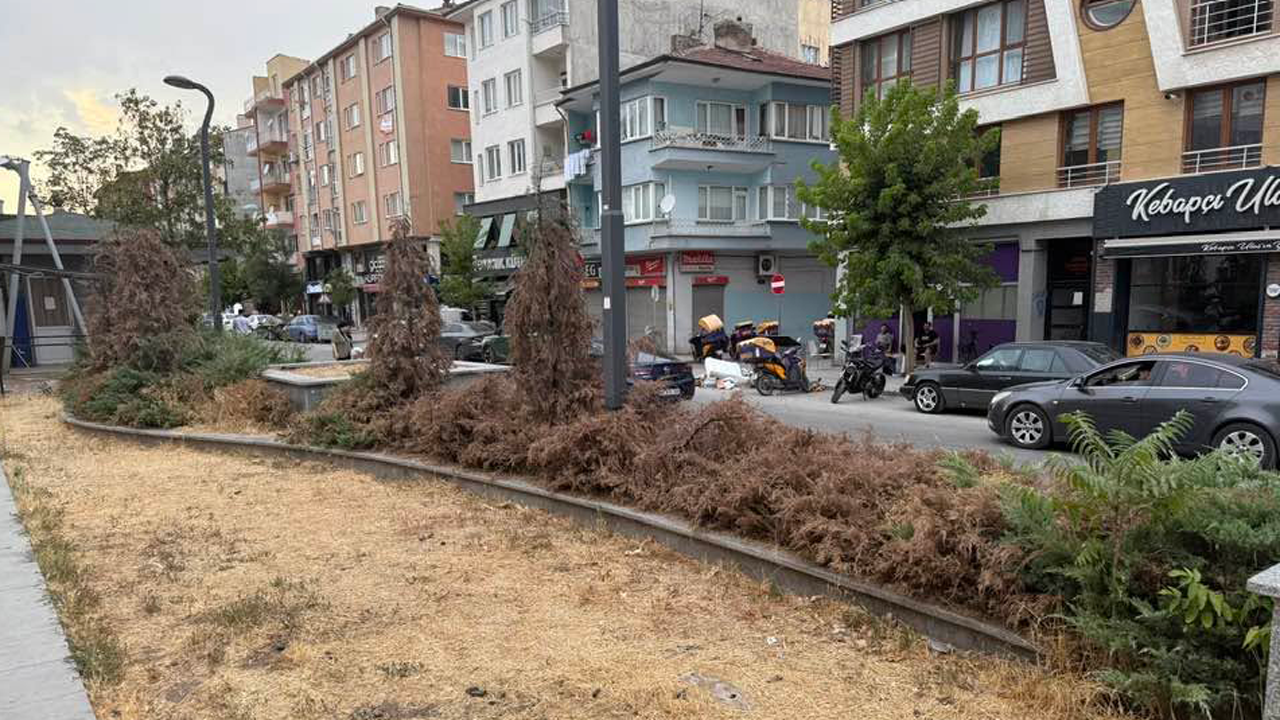 Eskisehirdeki Cevreciler Nerede