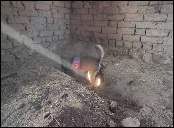 Eskisehirde 14 Yillik Cinayeti Jasat Aydinlatti (1)