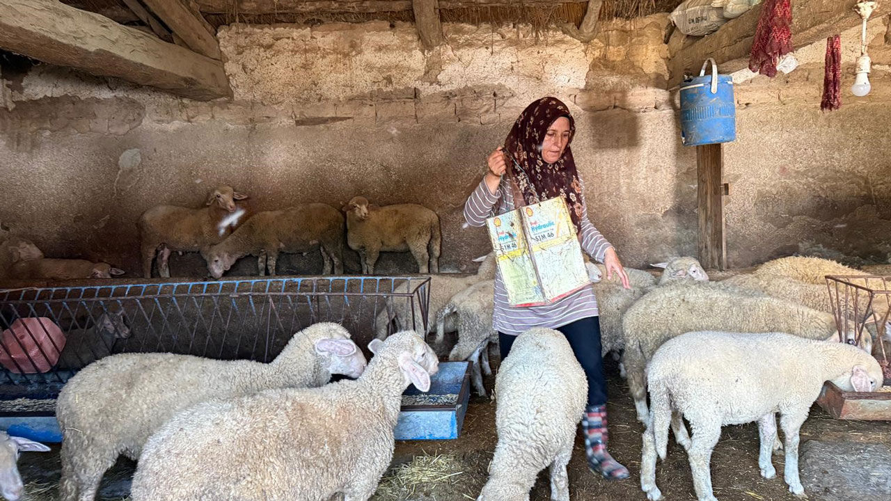 Kocası vahşice öldürülmüştü, şimdi O, çobanlık yaparak çocuklarına bakıyor